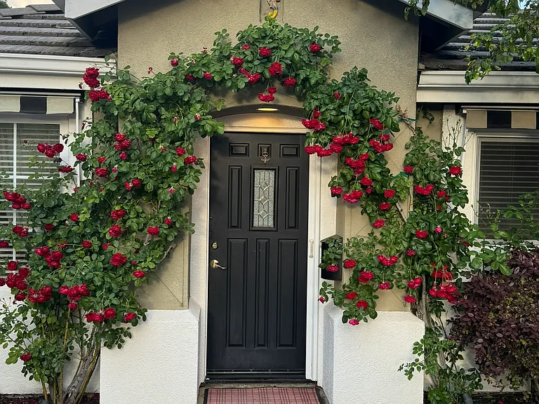 120 Hope Ln — Photo 11