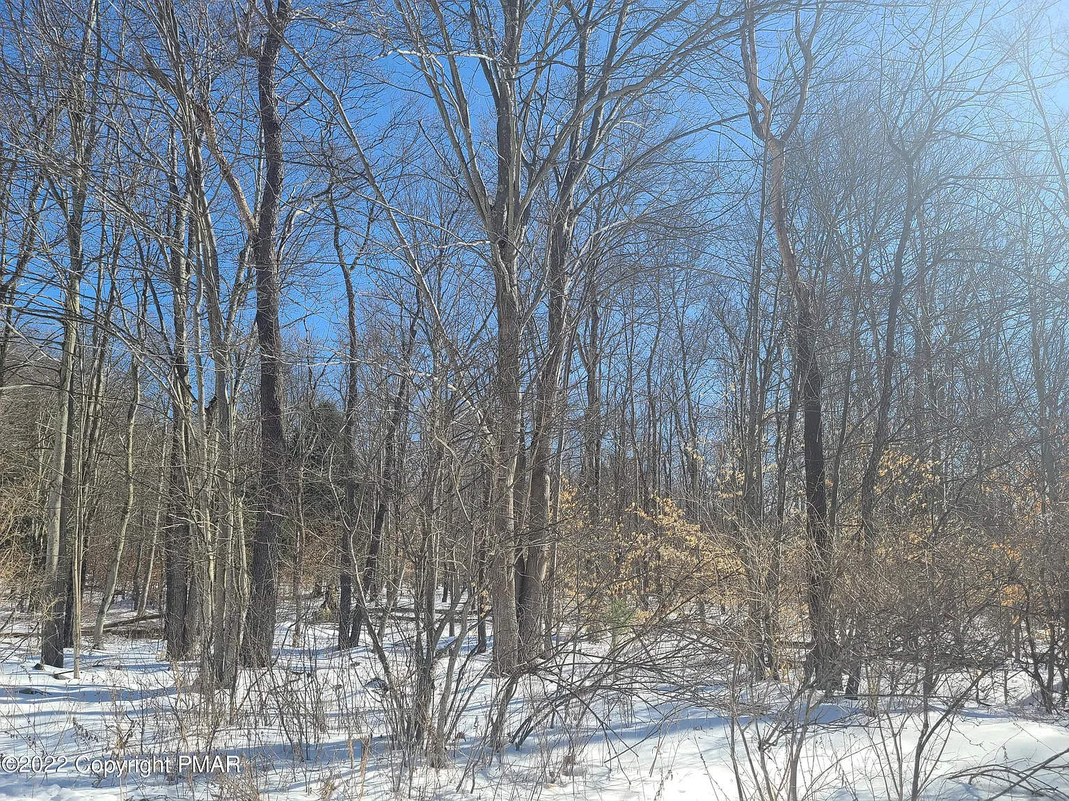 T 644 photo 1
