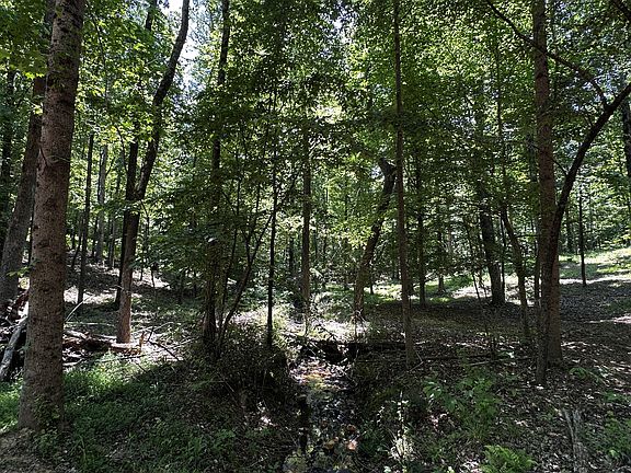 4th image of 0 Littrell Rd