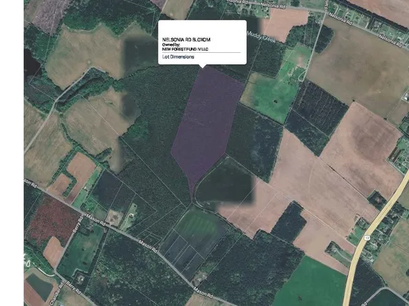 0 Nelsonia Rd, Bloxom, VA 23308