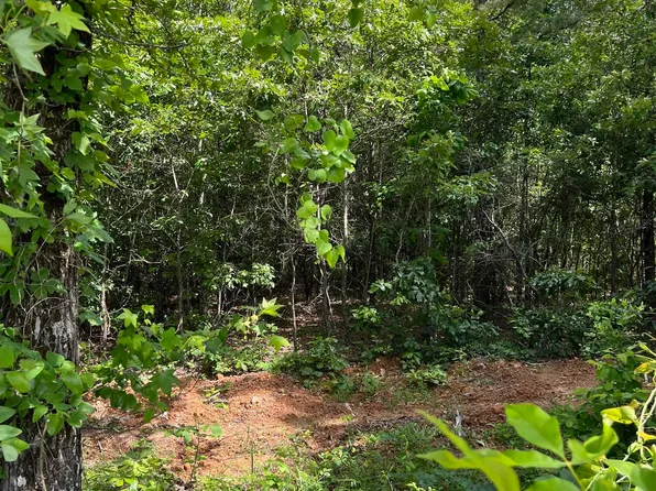 1 Xx Lot Rosboro, Glenwood, AR 71943