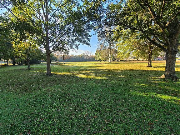 View from Front Porch