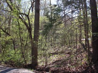 Lot #308 Elm Lane, Shell Knob, MO 65747