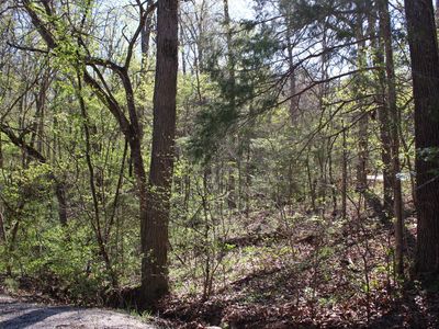Lot #308 Elm Lane, Shell Knob, MO, 65747