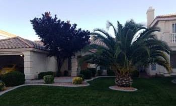1st image of 1573 Juniper Twig Ave