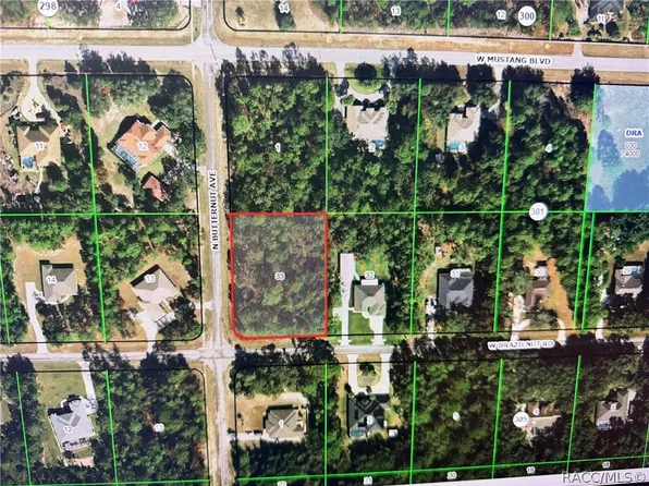 3425 W Brazilnut Rd, Beverly Hills, FL 34465