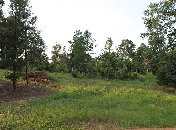4th image of 1043 County Road 80