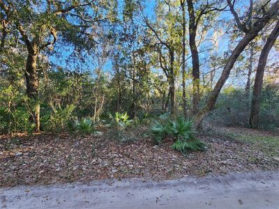 0 NE 37th St #164, Silver Springs, FL, 34488