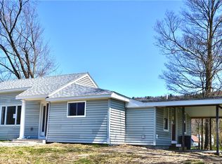 26 Mountain Ave, Candor, NY 13743