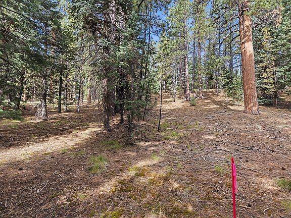 3rd image of 20 N Pinetree Trl