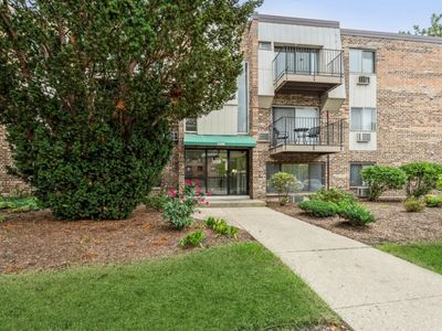 1459 N Winslowe Dr Unit 301, Palatine, IL, 60074