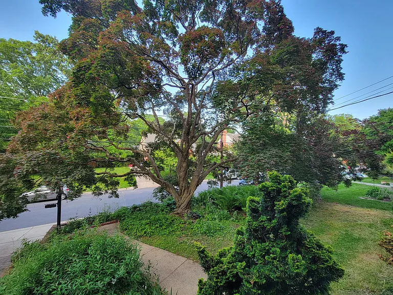 9216 Mintwood St — Photo 20