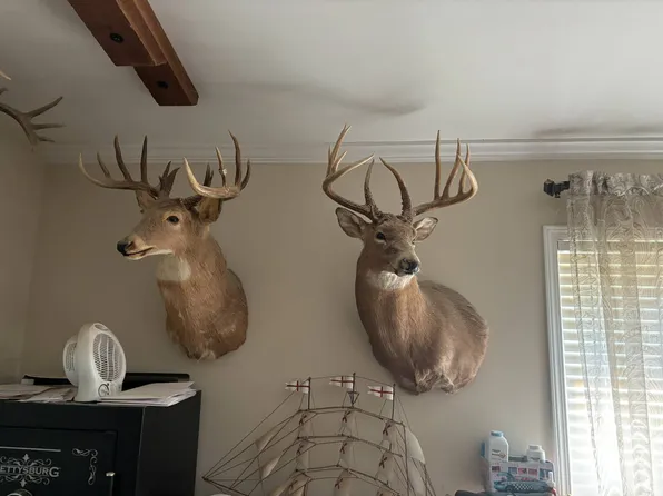 1035 Bethel Creek Rd, Raleigh, IL 62977