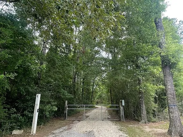 23120 Gum Swamp Rd, Livingston, LA 70754