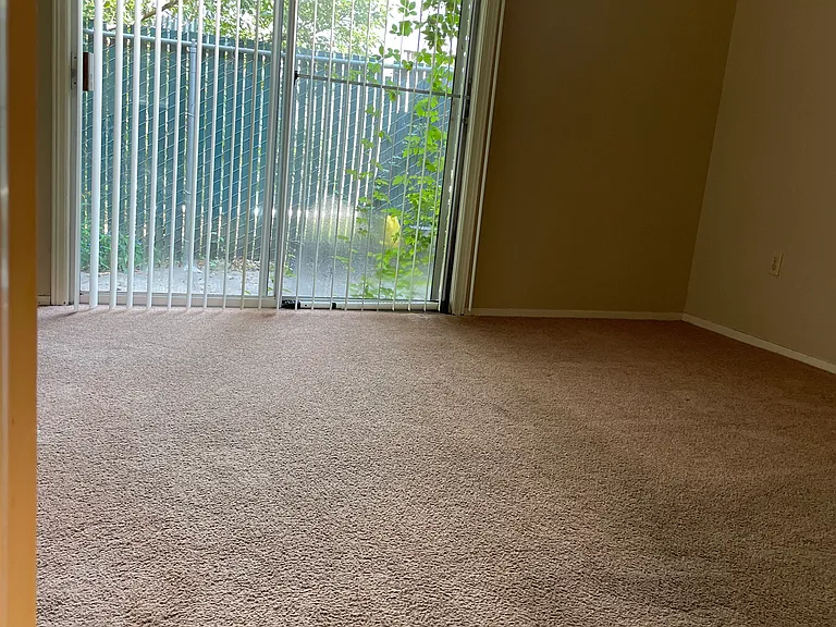 Two Large Closets