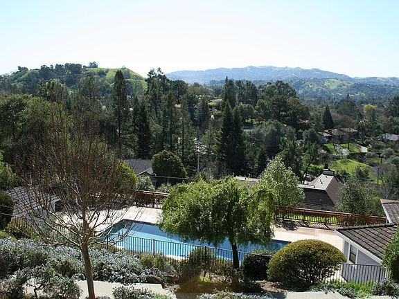 part of the view from backyard