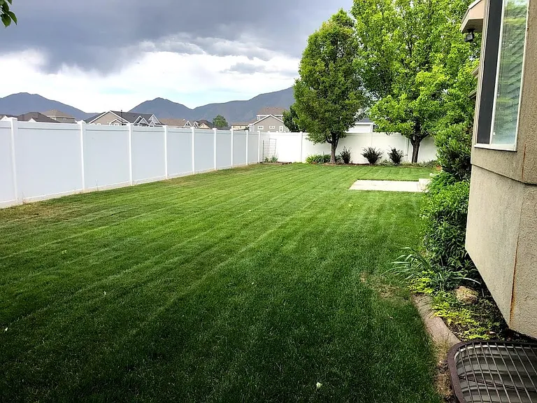 Completely fenced backyard.