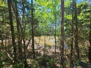 2789/AC W County Road 382, Henderson, TX 75654