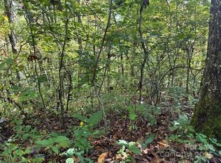 H16-H17 Shady Grove Rd, Tuckasegee, NC 28783