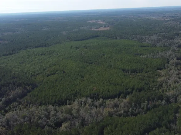 0 Neely Avera Rd, Leakesville, MS 39451