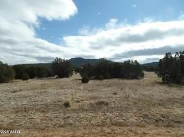23 County Road 8021, Concho, AZ 85924