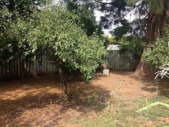 Garden area