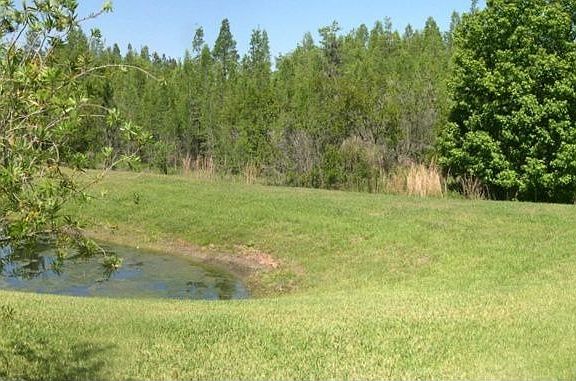 Conservation and Pond View