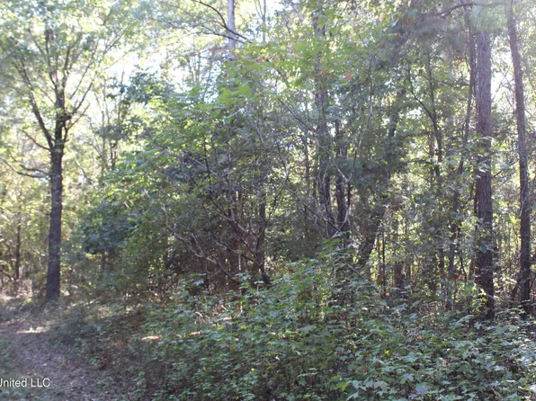1501 Lower Gurley Rd, Potts Camp, MS 38659