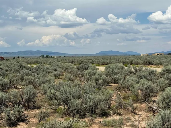 A1B Calle Feliberto, El Prado, NM 87529