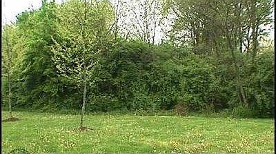 2nd image of Carrol Ave