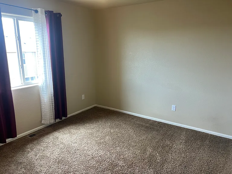 7689 Dry Willow Way — Photo 4