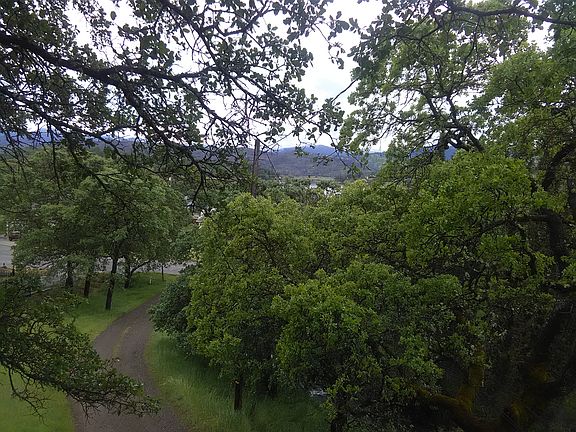 front yard and drive