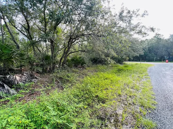 Lot 126 NE Oak Pond Cir, Steinhatchee, FL 32359