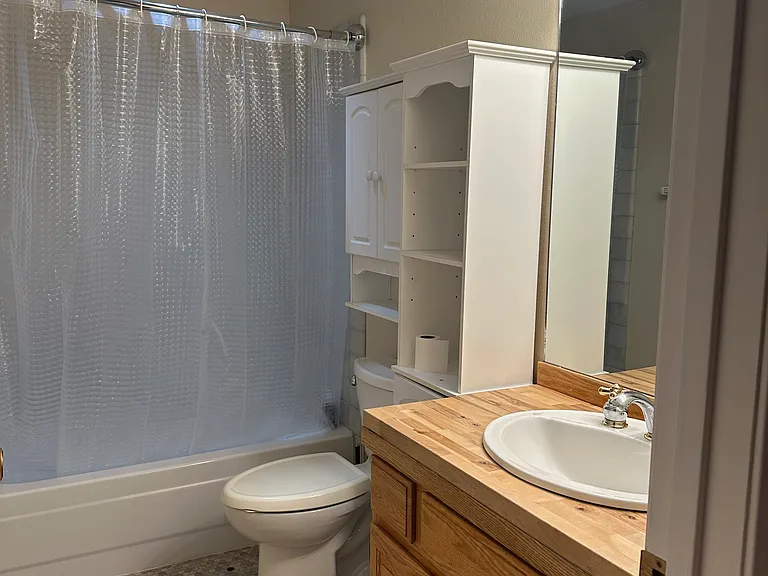 tub/shower bathroom
