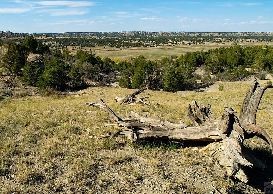 Hatchet Ranch Rd, Pueblo, CO 81004 Zillow
