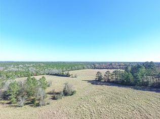 865 E Caney Loop, Chester, TX 75936