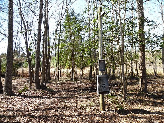 5th image of 2 Maple Dr