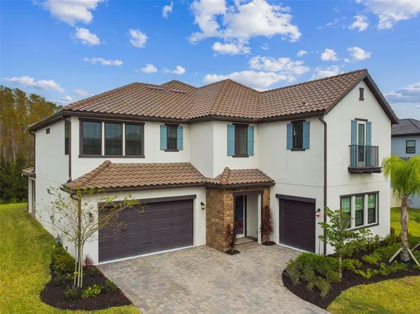 19719 Cypress Bridge Dr, Odessa, FL 33556