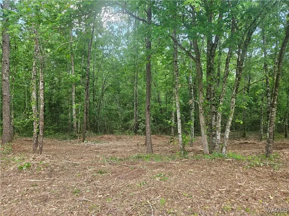 LOT 14/15 Magnolia Creek Rd, Gordo, AL 35466