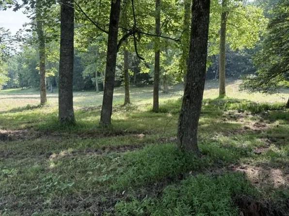 LOT Six Clear Crk, Ellijay, GA 30536