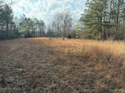 180 Ansel Ln, Bradley, SC, 29819