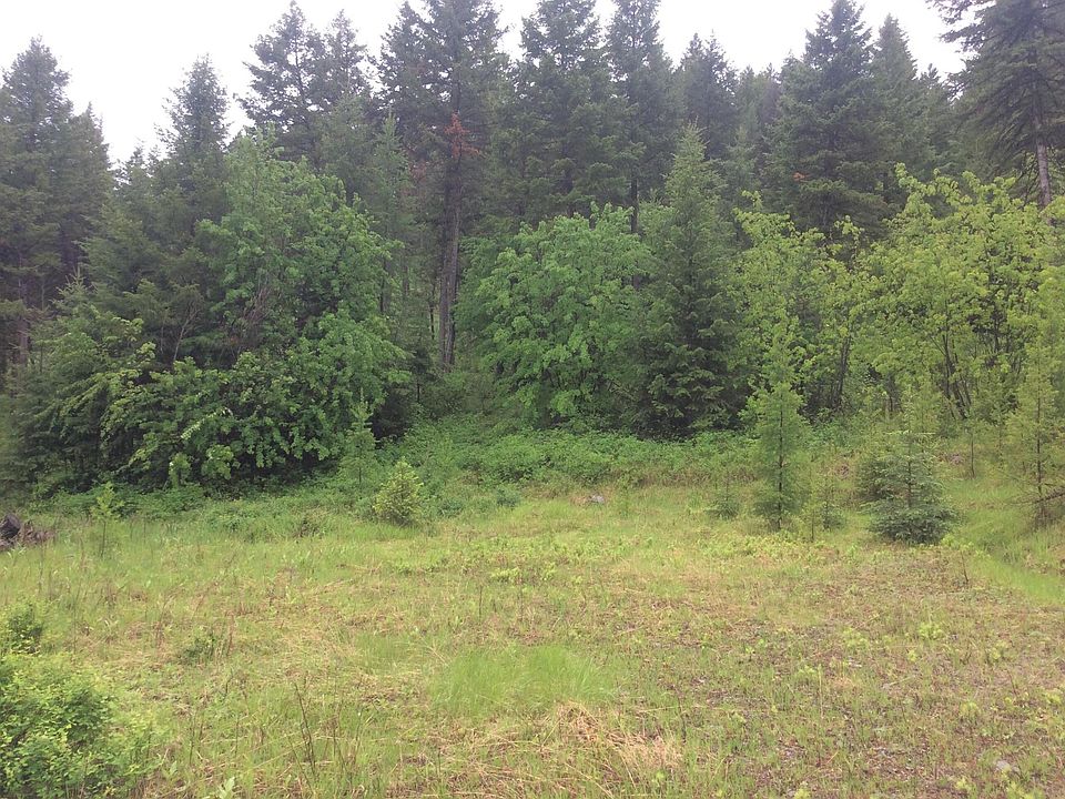 1st image of Nhn Bent Pine Ln