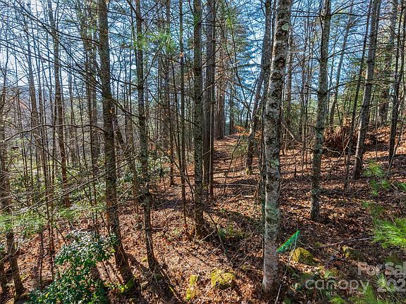 4th image of 139 Chattooga Run #221