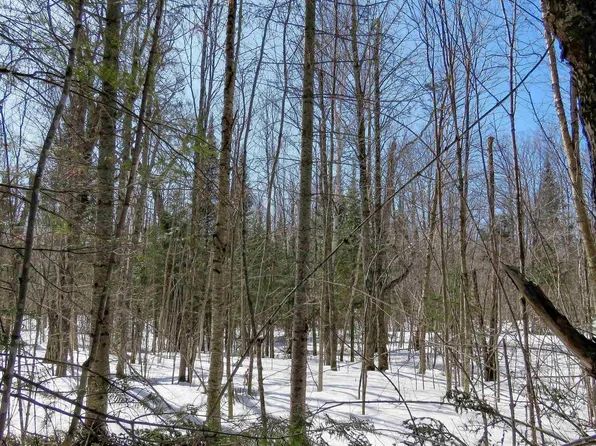 County Highway 8, Finland, MN 55603