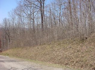 Lakeland Ln, La Follette, TN 37766