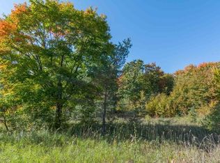 0 S Fritz Rd, Maple City, MI 49664