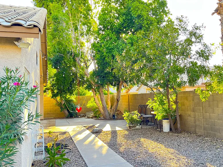 Backyard
