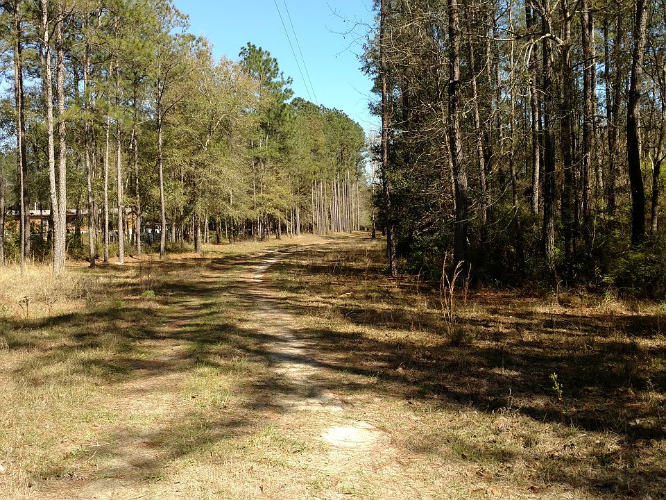 Long driveway into property
