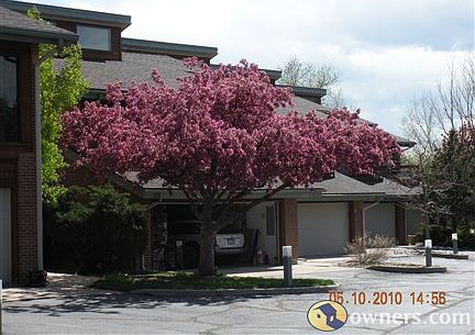 Well Maintained Grounds