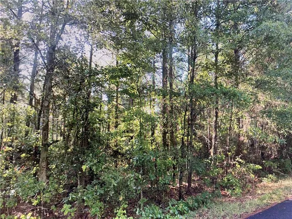 Goldonna Rd, Goldonna, LA 71031